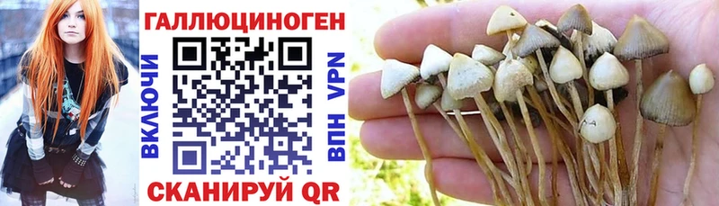 как найти   ОМГ ОМГ   Галлюциногенные грибы мухоморы  Лагань 